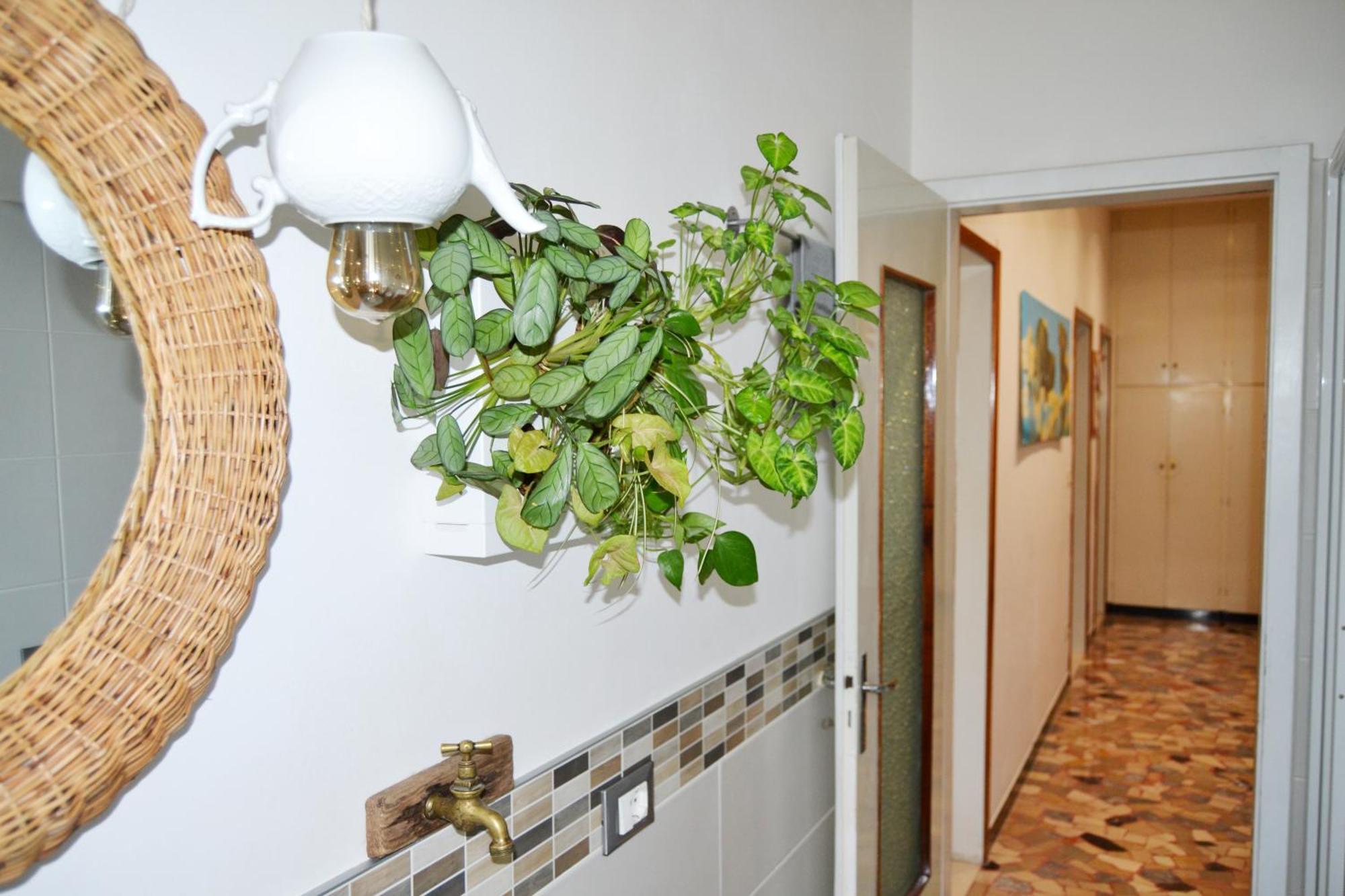 Casa Alderotti Διαμέρισμα Μπολόνια Εξωτερικό φωτογραφία